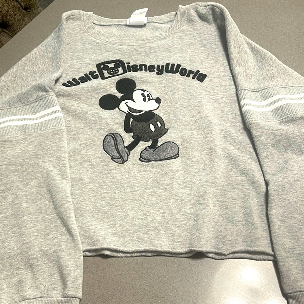 Crop sweatshirt worn & loved